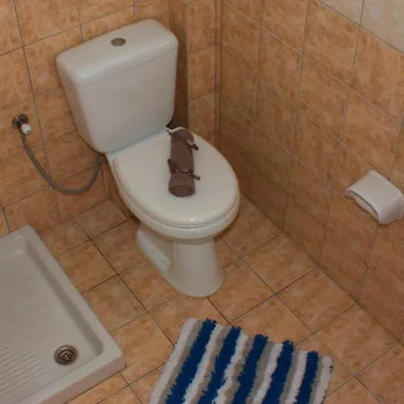 아파트호텔 Litsa 3*