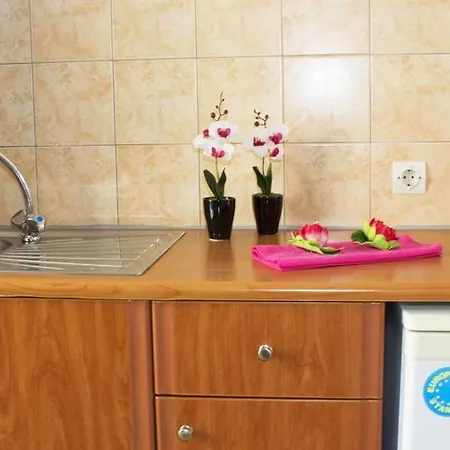 Litsa 아파트호텔 알리카나스